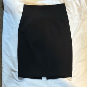 Express Pencil Skirt